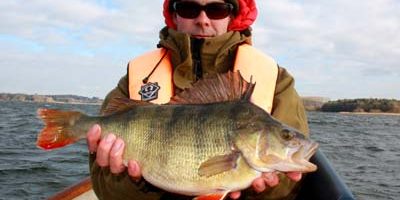 magnificent chew valley perch.jpg